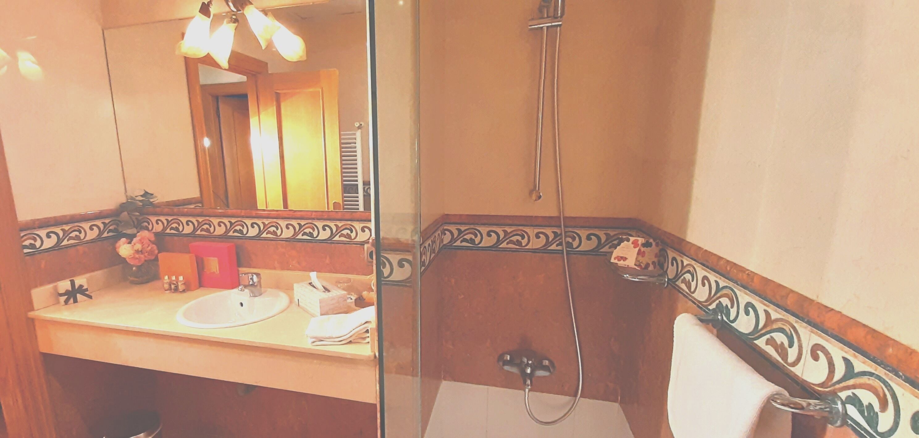 Une salle de bain avec un lavabo, un miroir et une douche.