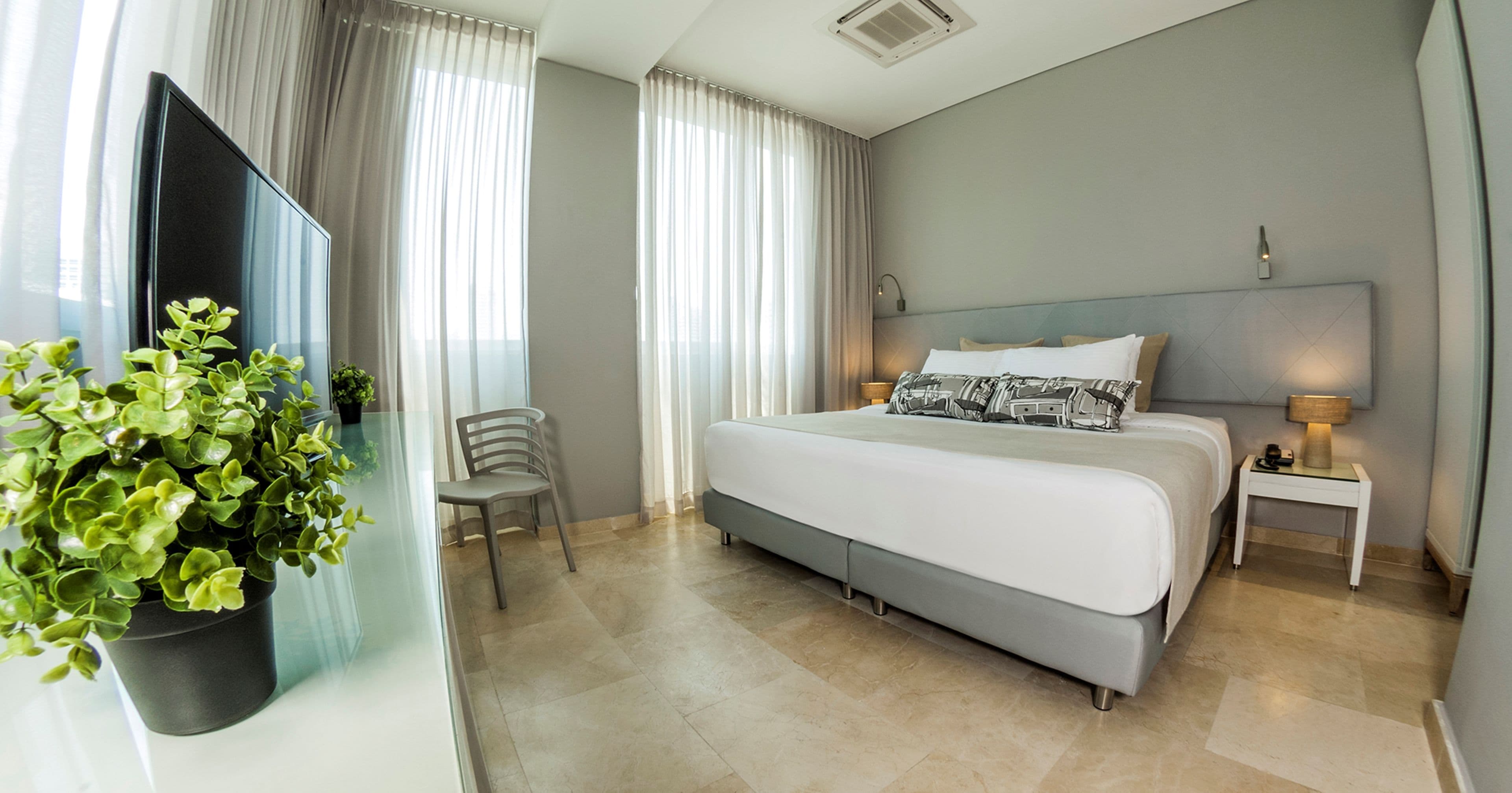 Une chambre d’hôtel moderne, dotée d’un grand lit, d’une télévision, d’une plante, d’une chaise et d’une table de chevet avec une lampe.