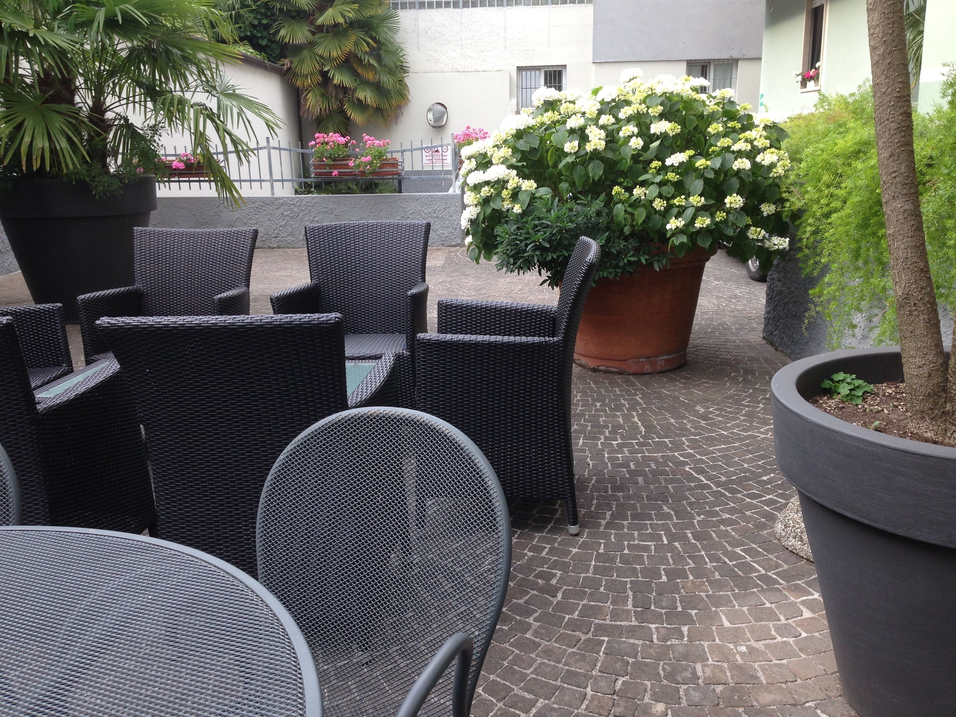 Un espace extérieur aménagé avec des chaises et des tables en osier, entouré de plantes en pot et d’un grand arbuste en fleurs.