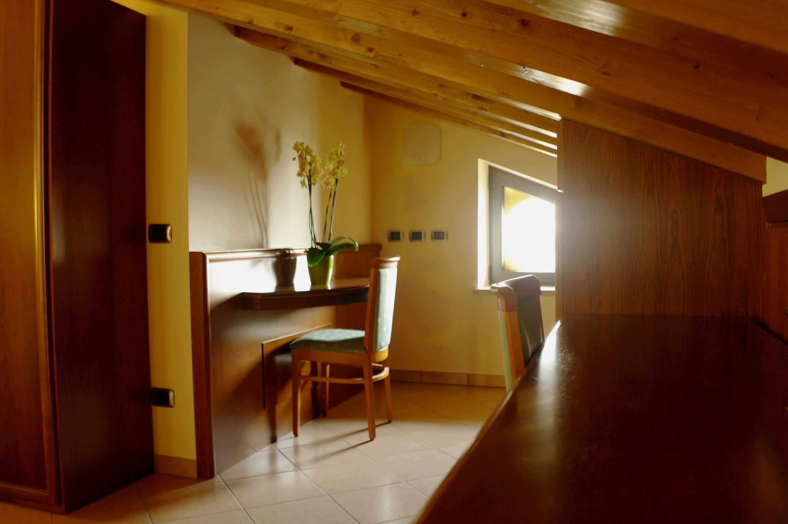 Ein Zimmer mit Holzboden, einem Esstisch, einem Stuhl und einer Topfpflanze.