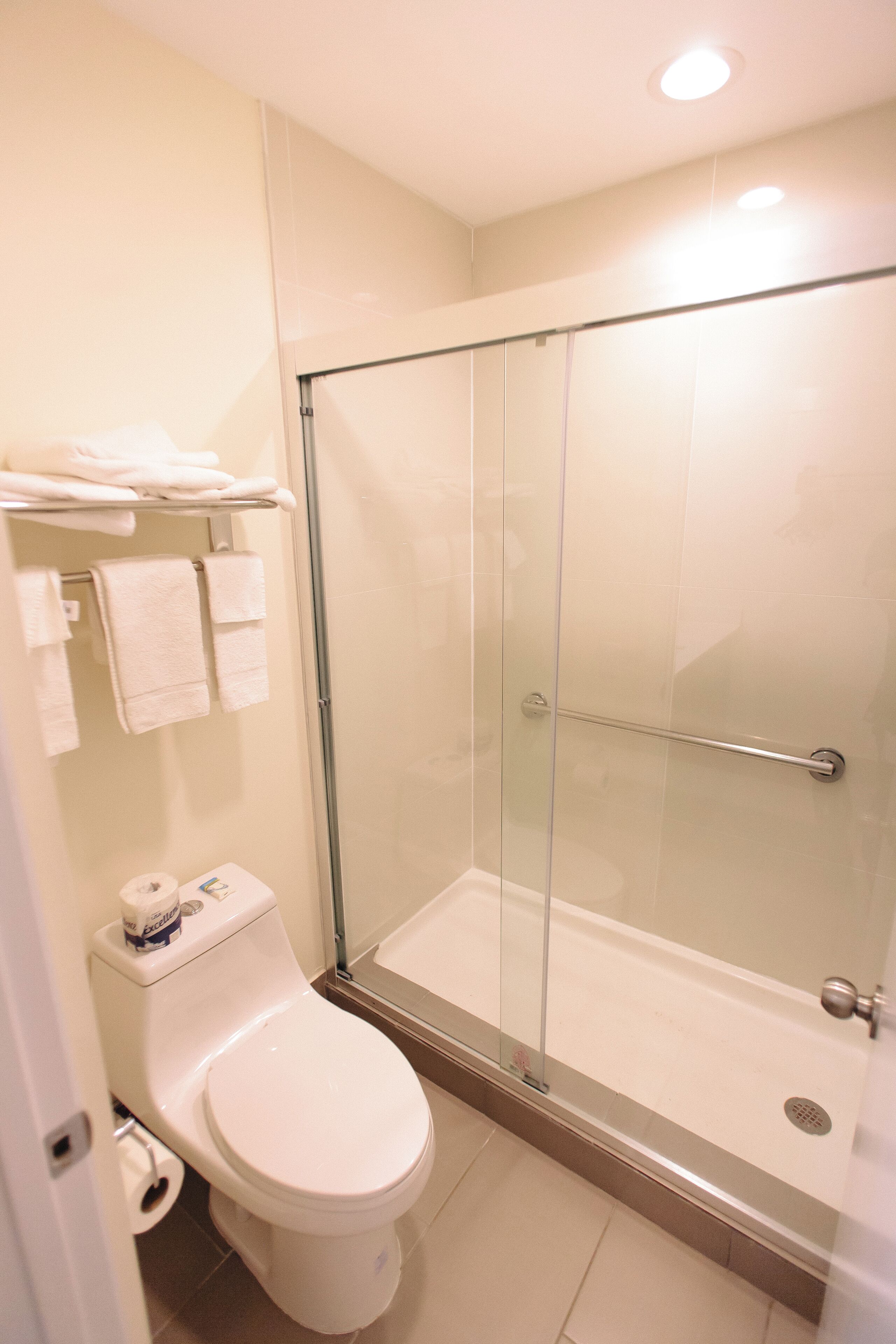 Une salle de bain moderne avec une douche à parois de verre, des toilettes et un porte-serviettes.