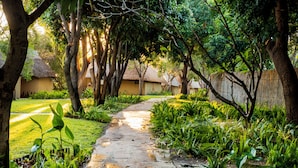 A stone pathway leading to traditional huts with thatched roofs, surrounded by lush greenery and trees.