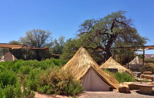 Traditional Tent, Non Smoking | Premium bedding, individually decorated, individually furnished