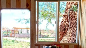Interior de madera con una mesa dispuesta para el desayuno, una ventana con vistas a un árbol y un edificio, y una puerta que da al exterior.