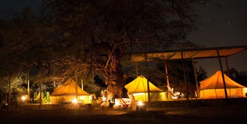Traditional Tent, Non Smoking | Terrace/patio