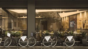 A row of bicycles parked outside a building with glass doors, a seating area with tables and chairs, and a large plant in the background. - Zeniva Hotel (Izmir)