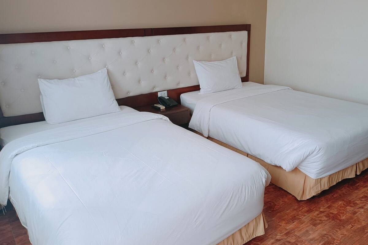 Deluxe Twin Room | Minibar, in-room safe, desk, laptop workspace