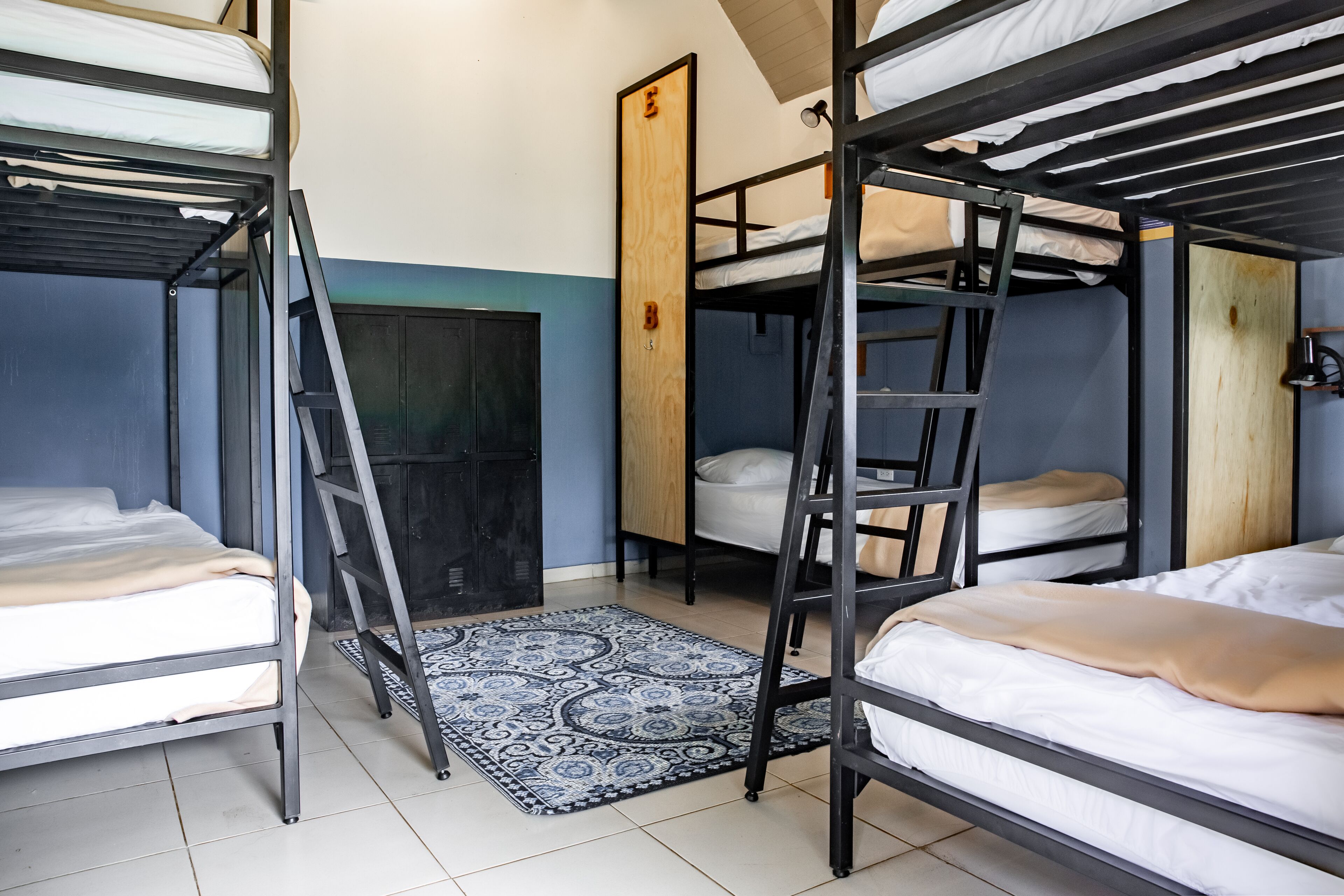 A dormitory room with bunk beds, a wooden ladder, a patterned rug, and a door with a letter 'E' on it.