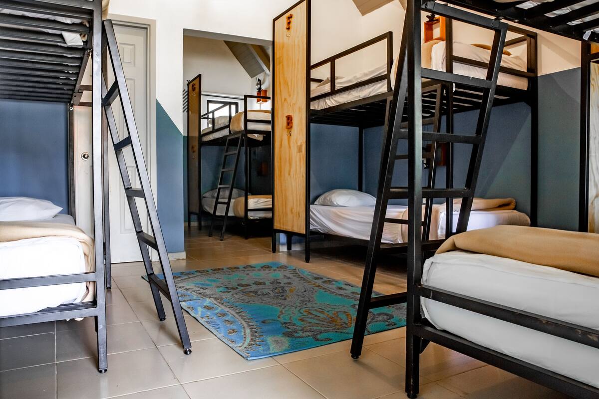 A dormitory-style room with bunk beds, a wooden door, and a patterned rug.