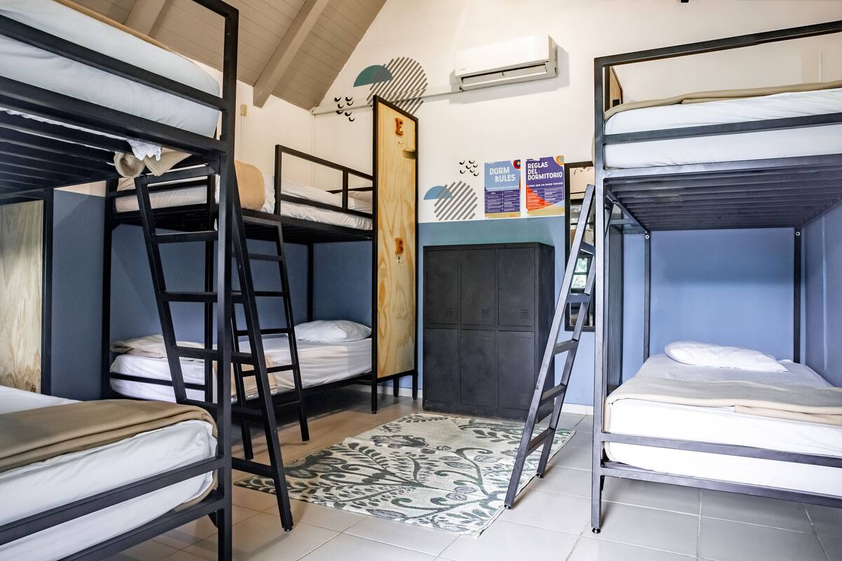 A dormitory room with bunk beds, a wooden ladder, a patterned rug, and a set of lockers.
