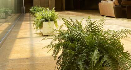 Hotel Concorde Toluca