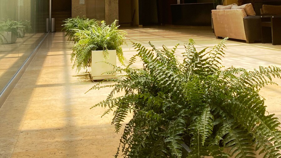 Hotel Concorde Toluca