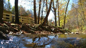 Un ruisseau aux eaux claires, avec des rochers et des arbres en arrière-plan.