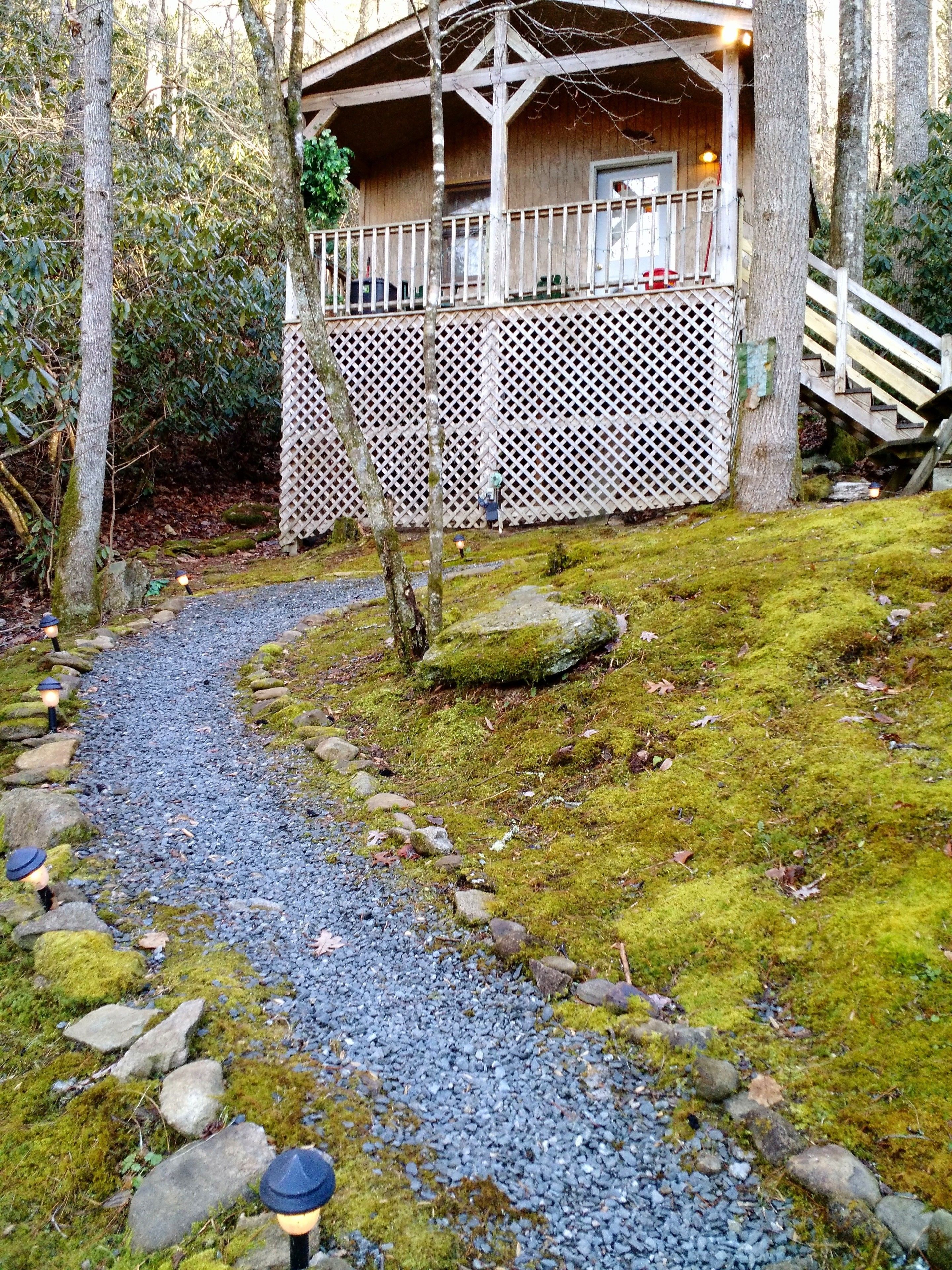 Een houten vakantiehuisje met een veranda, omgeven door een grindpad en begroeiing.