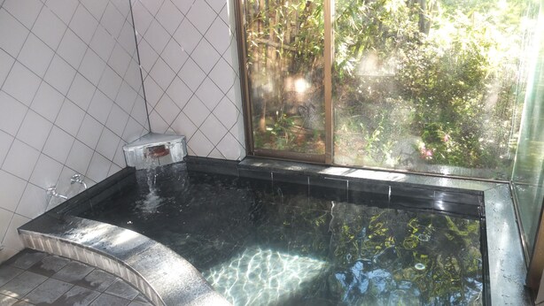 A bathroom with a black marble sink, a shower, and a window overlooking greenery.
