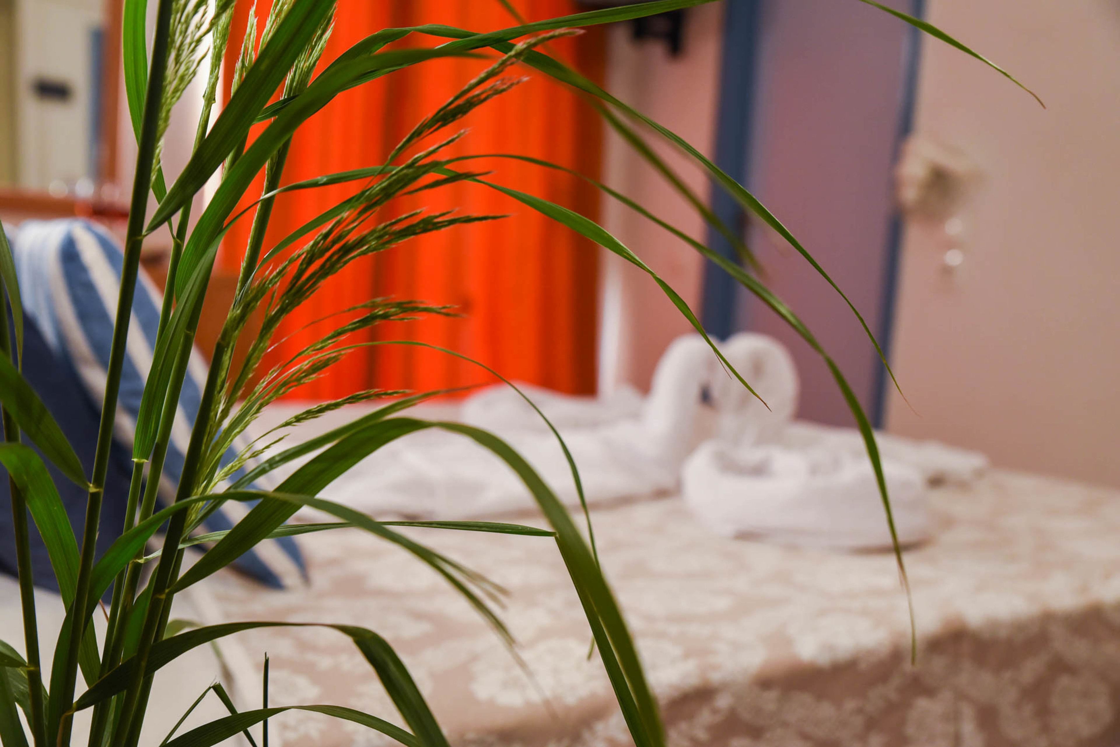 Foto - Vassilia Hotel