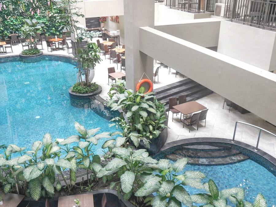 Piscina interior con asientos y plantas alrededor.