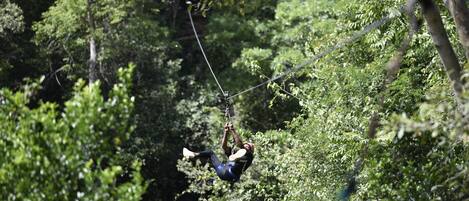Una persona deslizándose en tirolesa a través de un bosque.