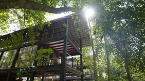 A wooden treehouse with multiple levels, surrounded by dense foliage and sunlight filtering through the leaves.
