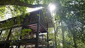 Echo Jungle Chalet, River View-Free Adventure Activities