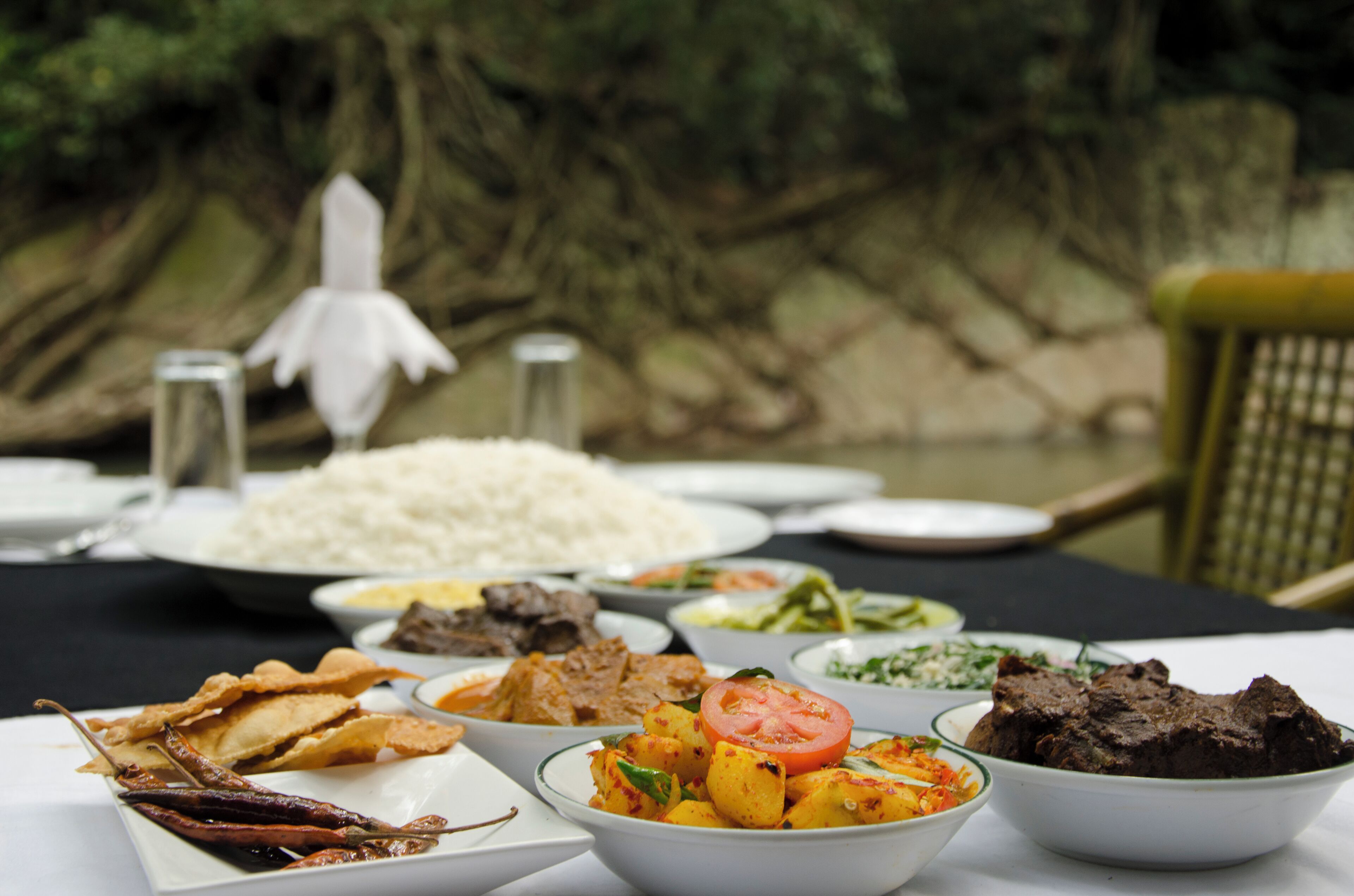 A table set with various dishes including rice, meat, and vegetables, with a natural backdrop.