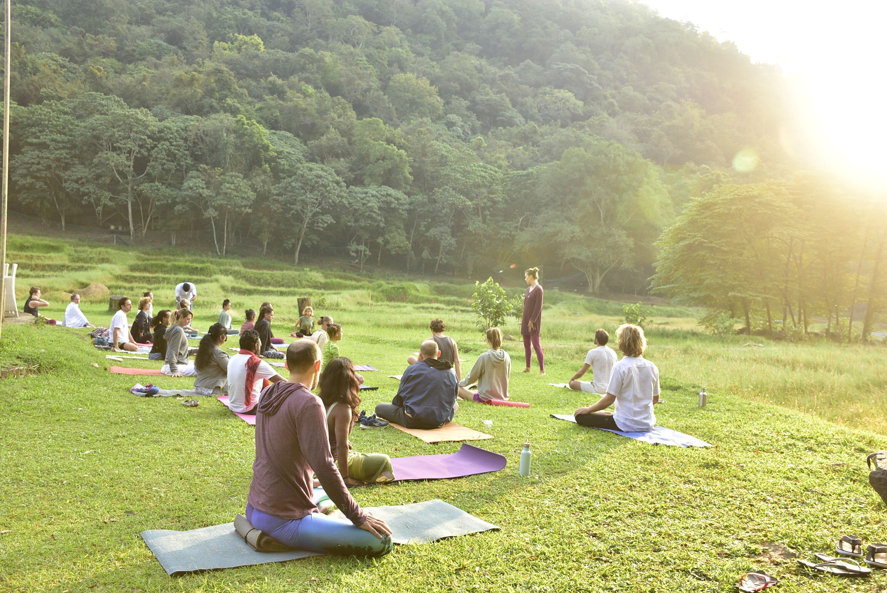 Un groupe de personnes est assis sur des tapis de yoga à l’extérieur, dans un espace verdoyant, avec des arbres en arrière-plan.
