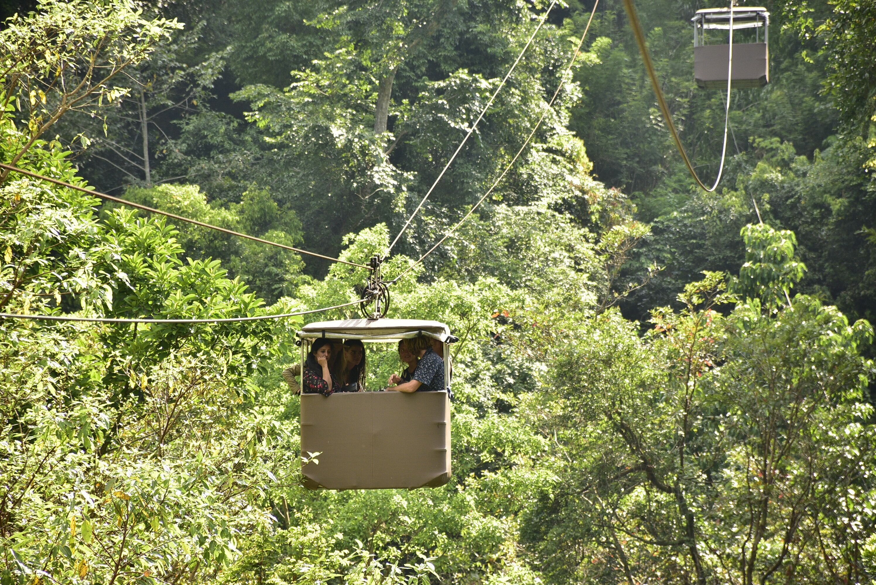 Un teleférico suspendido entre árboles en una zona boscosa.