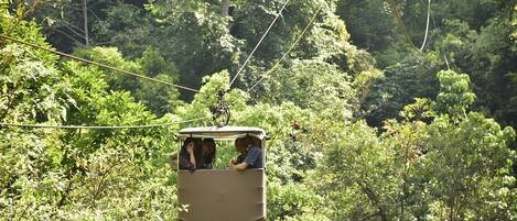 Un teleférico suspendido entre árboles en una zona boscosa.