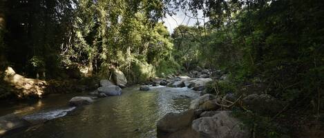 Un río serpentea por una zona boscosa con rocas y árboles.