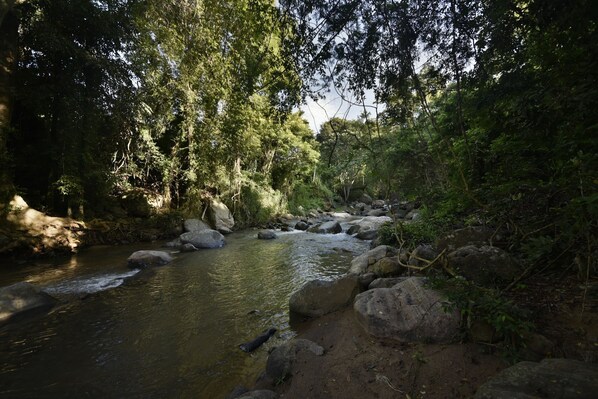 A river flowing through a forested area with rocks and trees. - Clio Ella Resort (Ella)