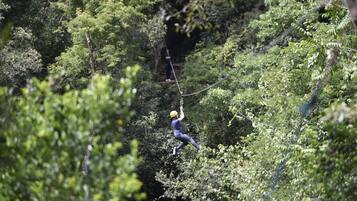 Une personne qui fait de la tyrolienne à travers une forêt dense.