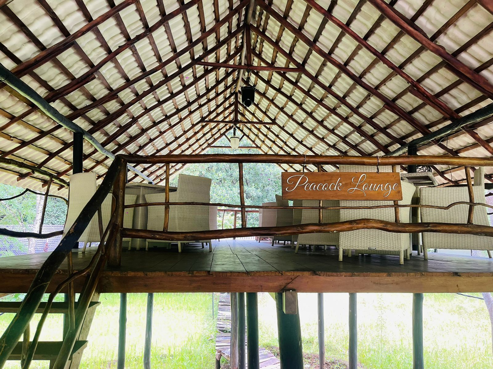 An open-air pavilion with a wooden roof structure and a sign reading "Peacock Lounge".