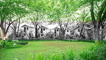 Pemandangan dari properti