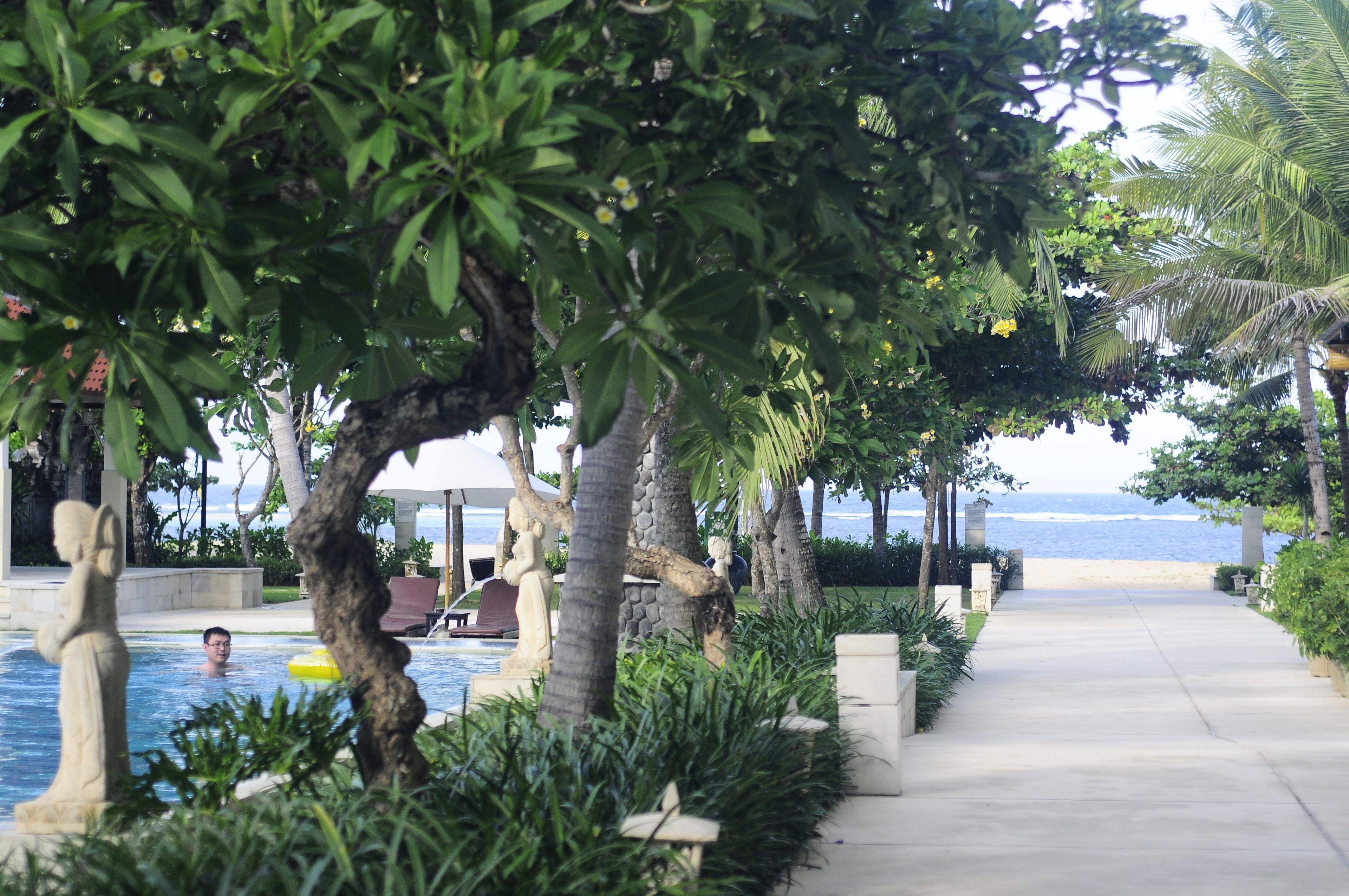Un área de piscina con un camino que lleva a la playa, rodeada de palmeras y vegetación.