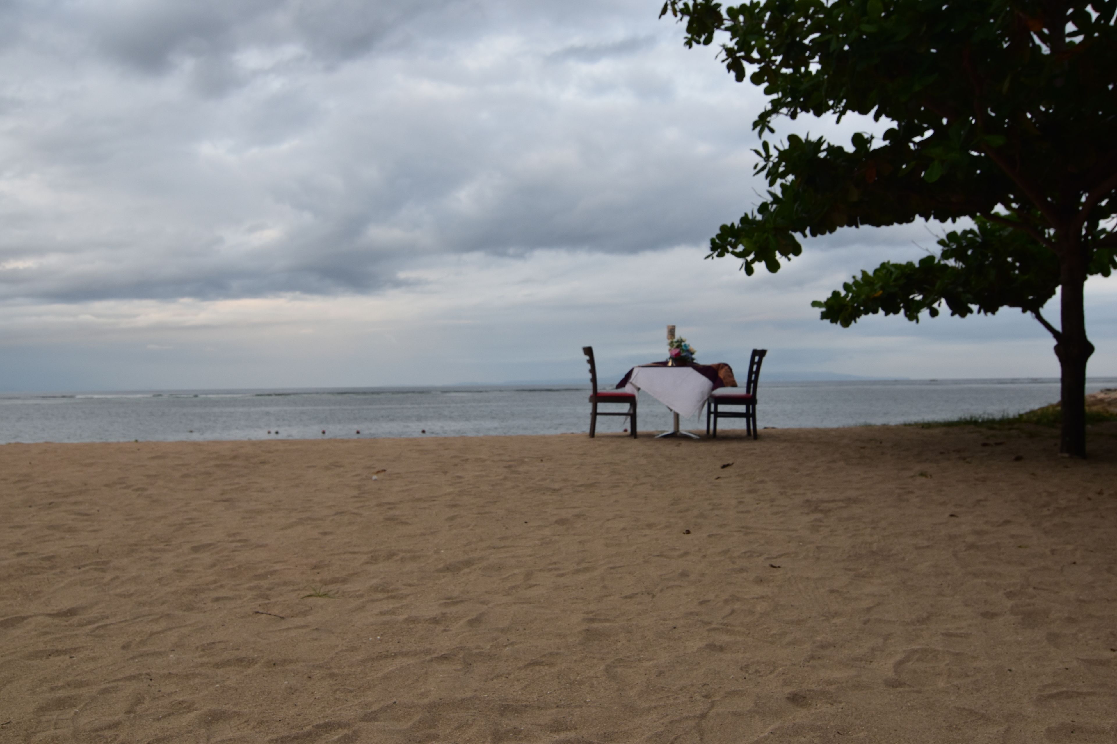 A beach with a table and chairs under a tree, overlooking the sea.