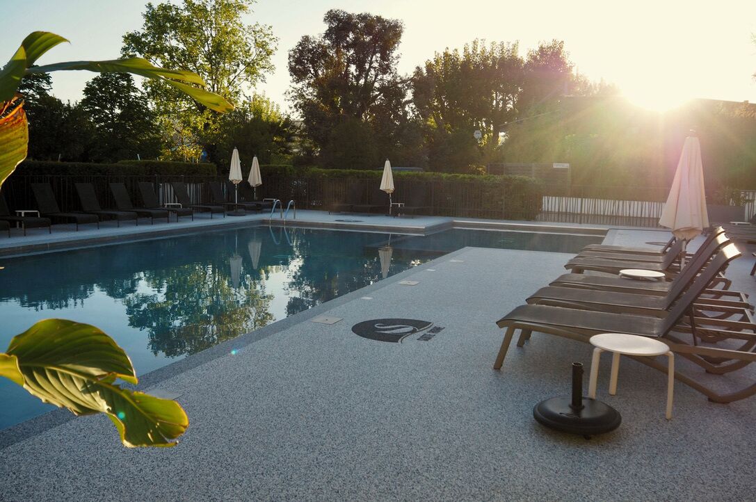 A swimming pool with lounge chairs and umbrellas, surrounded by trees and a fence.