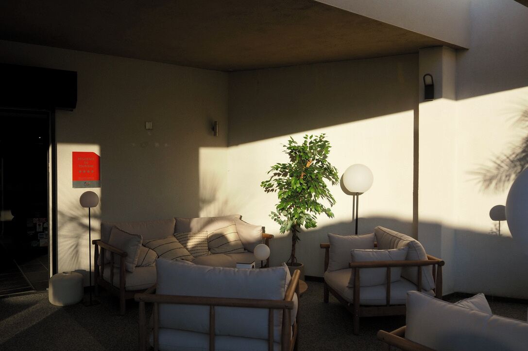 A modern living room with a sofa set, a potted plant, and a floor lamp.