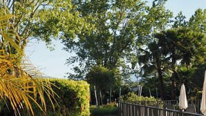 Un camí pavimentat flanquejat per albors i arbres ben podats, que condueix a una zona d'estar amb ombrel·les.