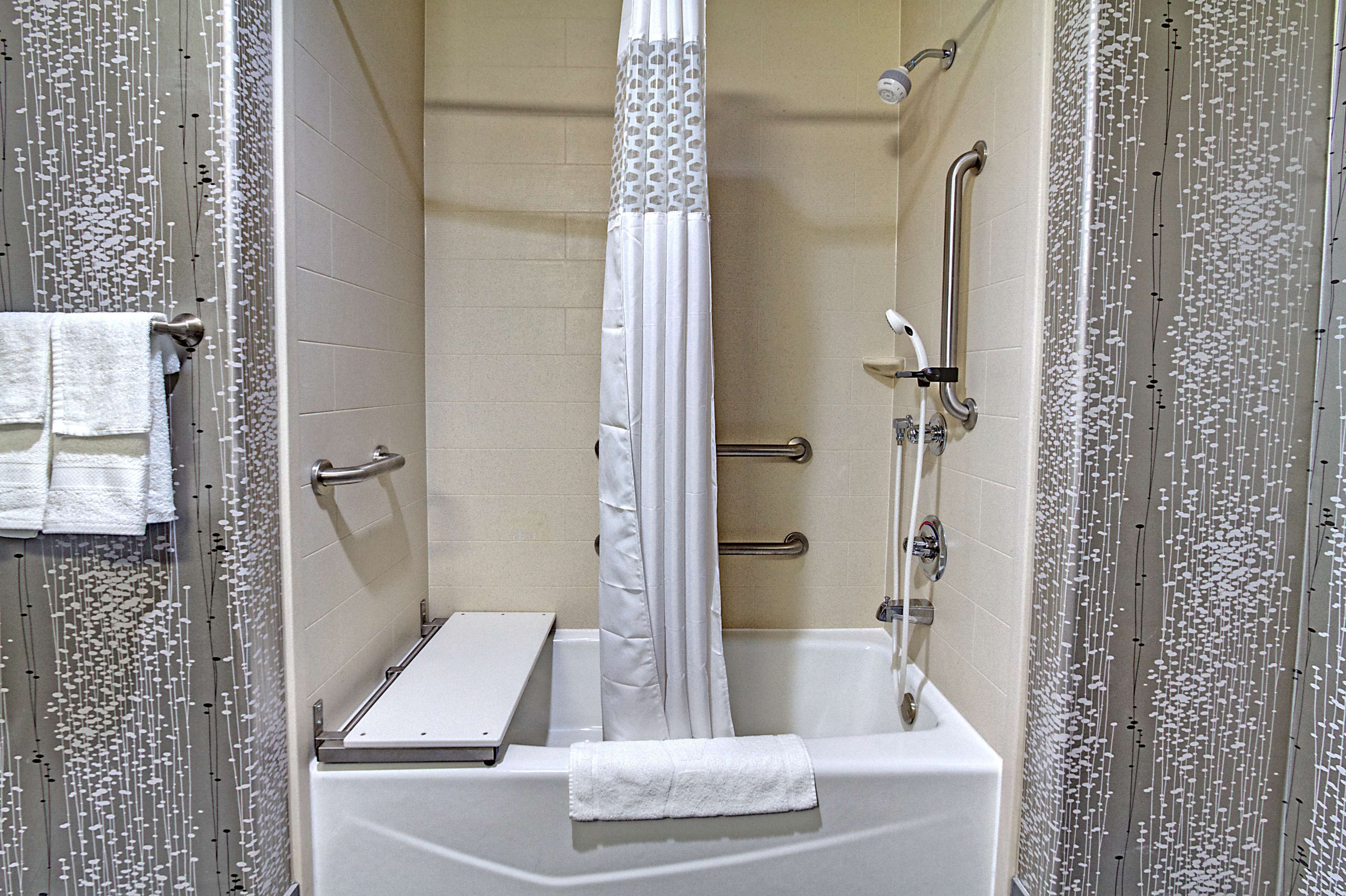 room, 1 king bed, accessible, non smoking | bathroom | free toiletries, hair dryer, towels, soap