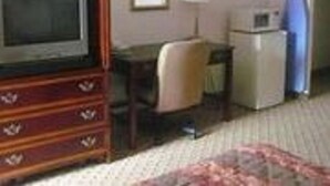 Mini fridge - Wedgewood Motor Inn (Blackstone)
