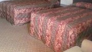 Iron/ironing board, free WiFi, alarm clocks - Wedgewood Motor Inn (Blackstone)