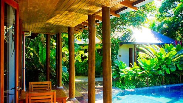 Una terraza de madera con piscina, rodeada de abundante vegetación.