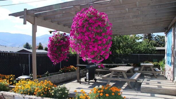 BBQ/picnic Area - Plaza Motel (Penticton)
