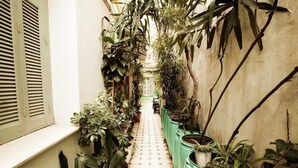 Terrace/patio - Pagration Youth Hostel (Athens)