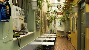 Terrace/patio - Pagration Youth Hostel (Athens)