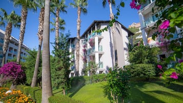 Detalle del exterior