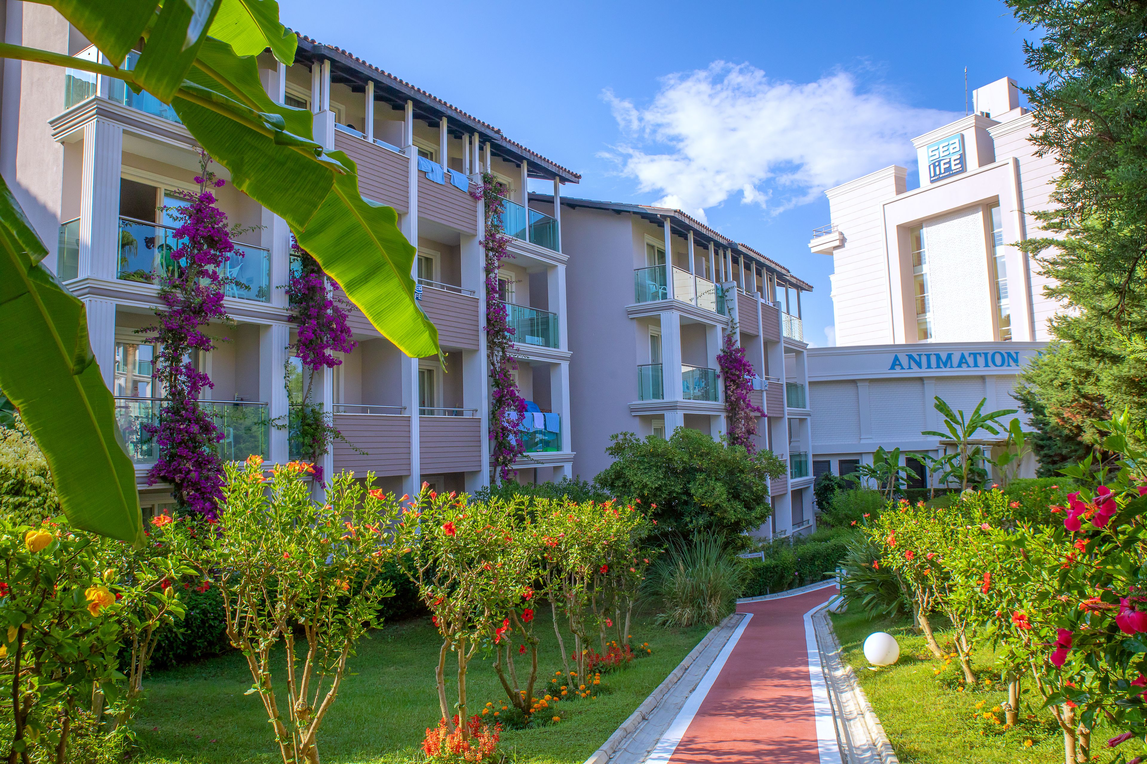 Foto - Sealife Buket Resort & Beach Hotel - Ultra All Inclusive