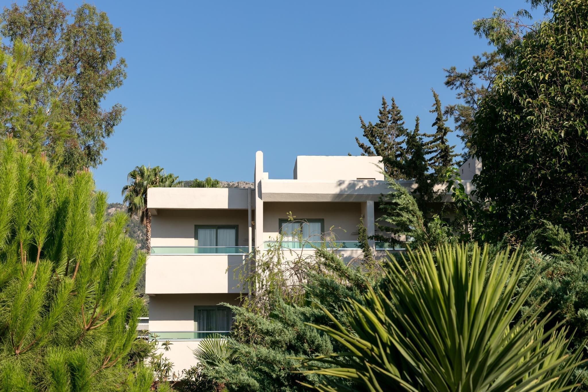 Un immeuble à plusieurs étages doté de balcons, entouré d’une végétation luxuriante.