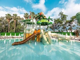 A water park with a slide, a pool, and palm trees.