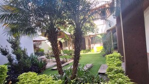 A well-maintained garden with palm trees, a lawn, and various shrubs. - Quinta Allende (Querétaro)